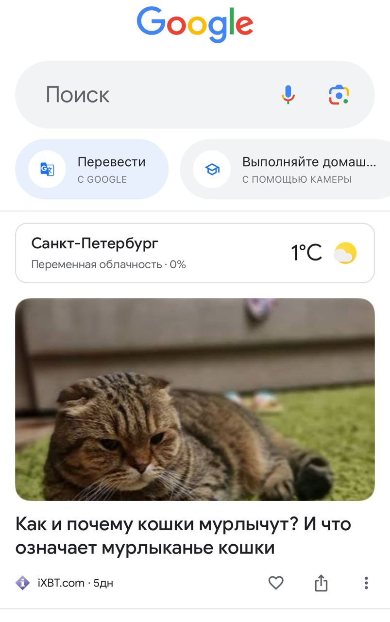 Пример Google Discover