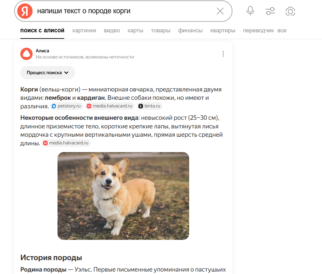 Результат Поиска с Алисой