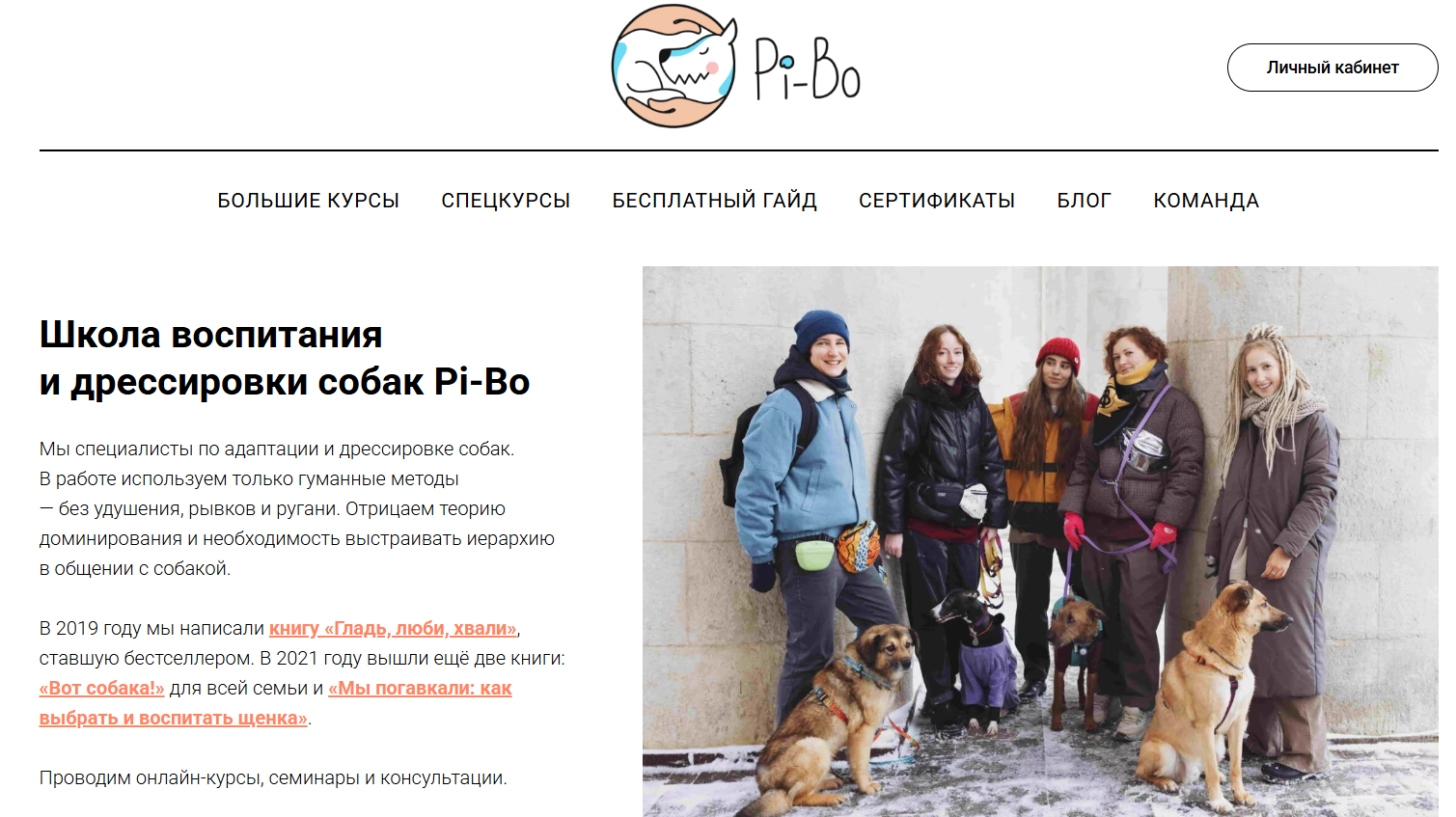 Профессиональный блог Pi-Bo