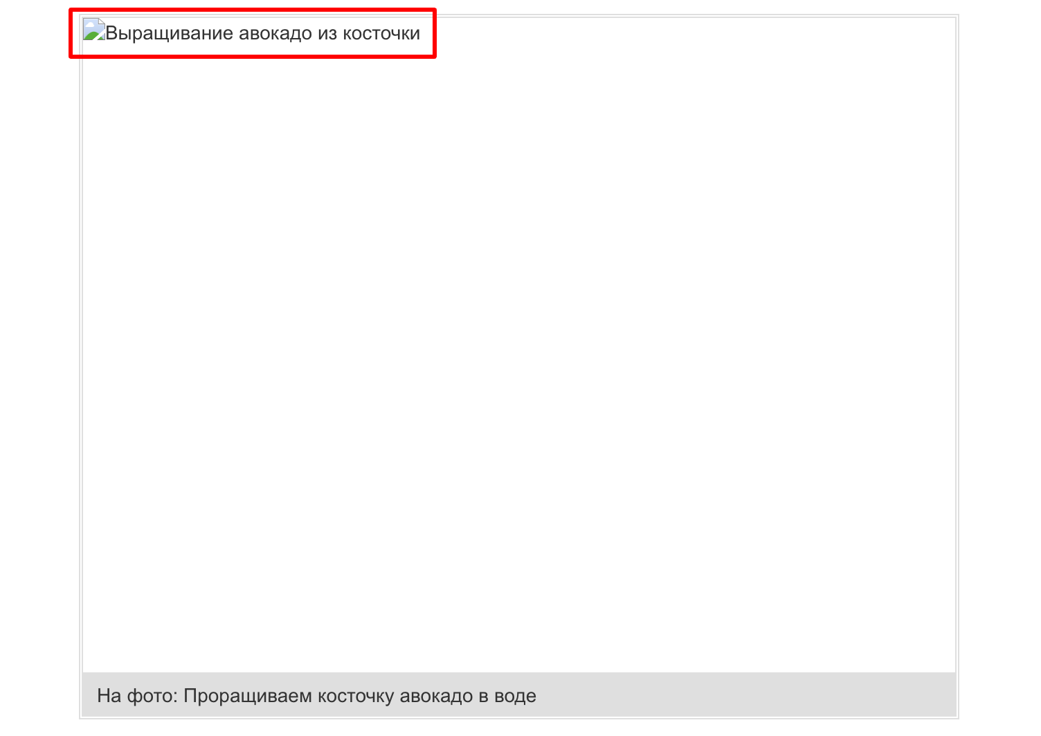 Пример Alt изображения