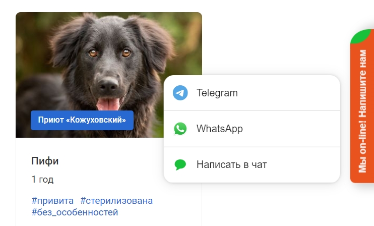 Способы связи на сайте