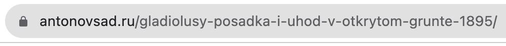 Пример оптимизированного URL