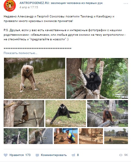 пост, стимулирующий активность