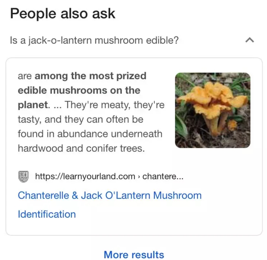 People also ask Google
