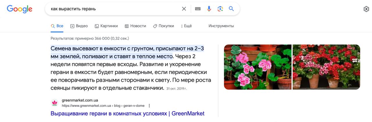 Расширенный сниппет в выдаче