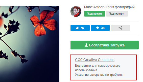 Лицензия на фотостоке