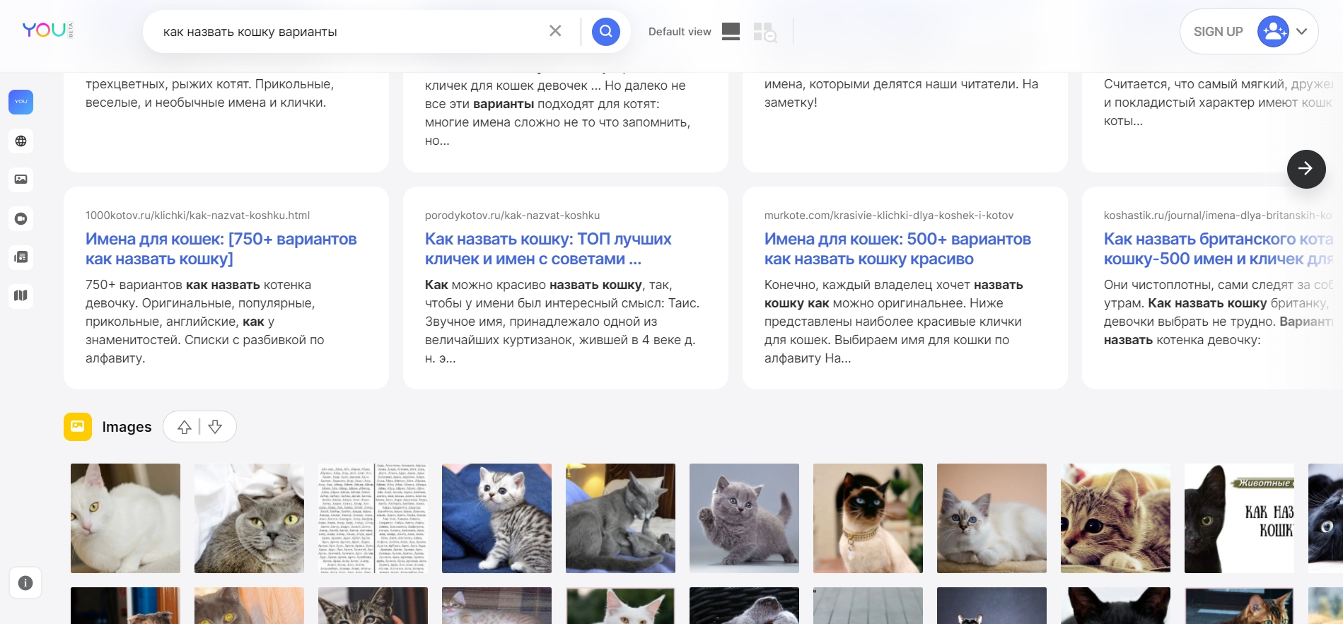 Интерфейс поисковика You.com