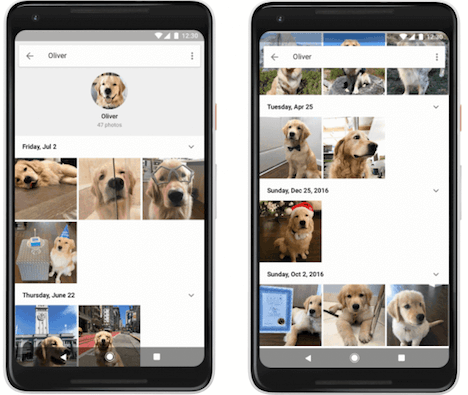 распознавание людей и питомцев в google фото